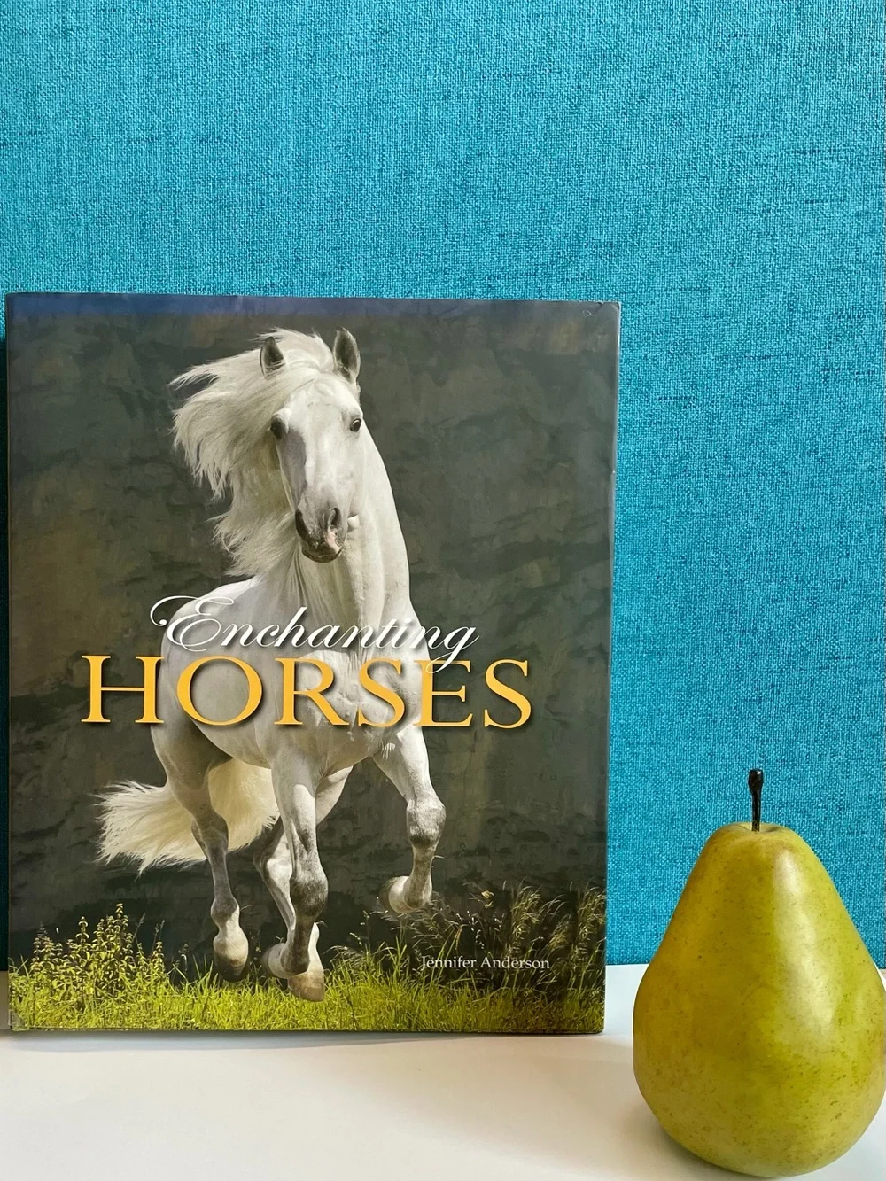 Enchanting Horses by Jennifer Anderson Hardcover book